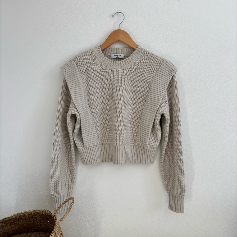 Babaton Aritzia Sweater